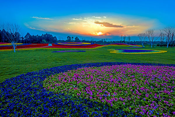首届天府芙蓉园国际灯彩节将于1月17日亮相成都武侯