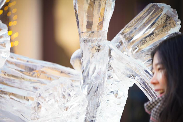 图片默认标题_fororder_20190102haerbin1