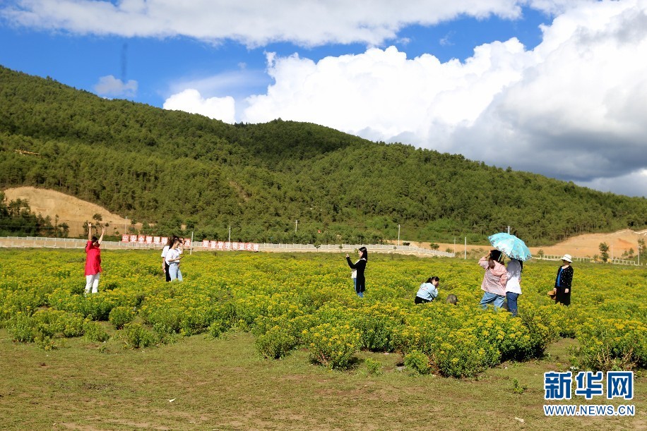 雲南迪慶：依託“世界的香格里拉”品牌 大力發展鄉村旅遊