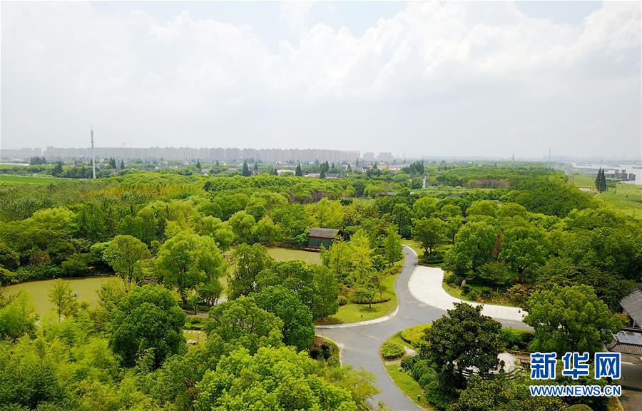 这是2017年7月29日无人机拍摄的上海浦江郊野公园