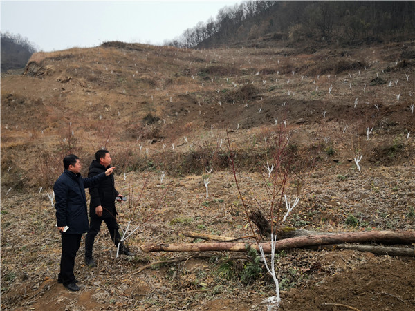 【新春走基層】“70後”梁成志回鄉開荒建園 引領鄉村振興新格局