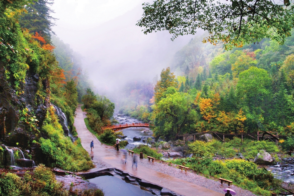 领略白山22℃夏天魅力