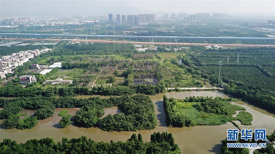 廣東：兩公里全封閉聲屏障守護“小鳥天堂”安寧