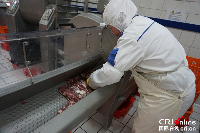 切割下的肉條 被放到機器裏切成肉塊兒