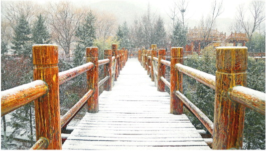 山東省迎今年首次大範圍雨雪天氣