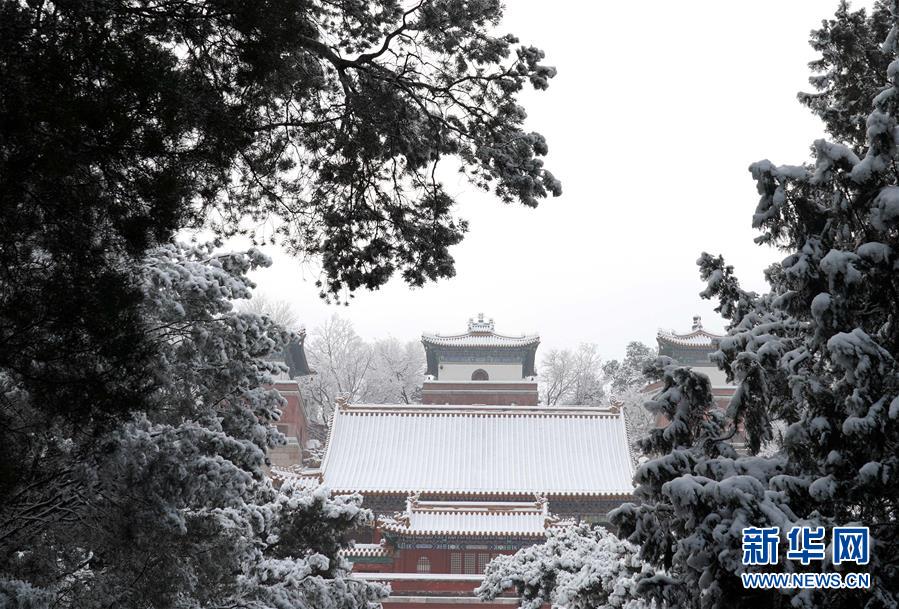 雪后颐和园美如画