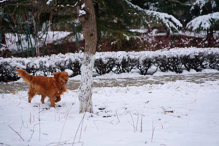 图片默认标题_fororder_2