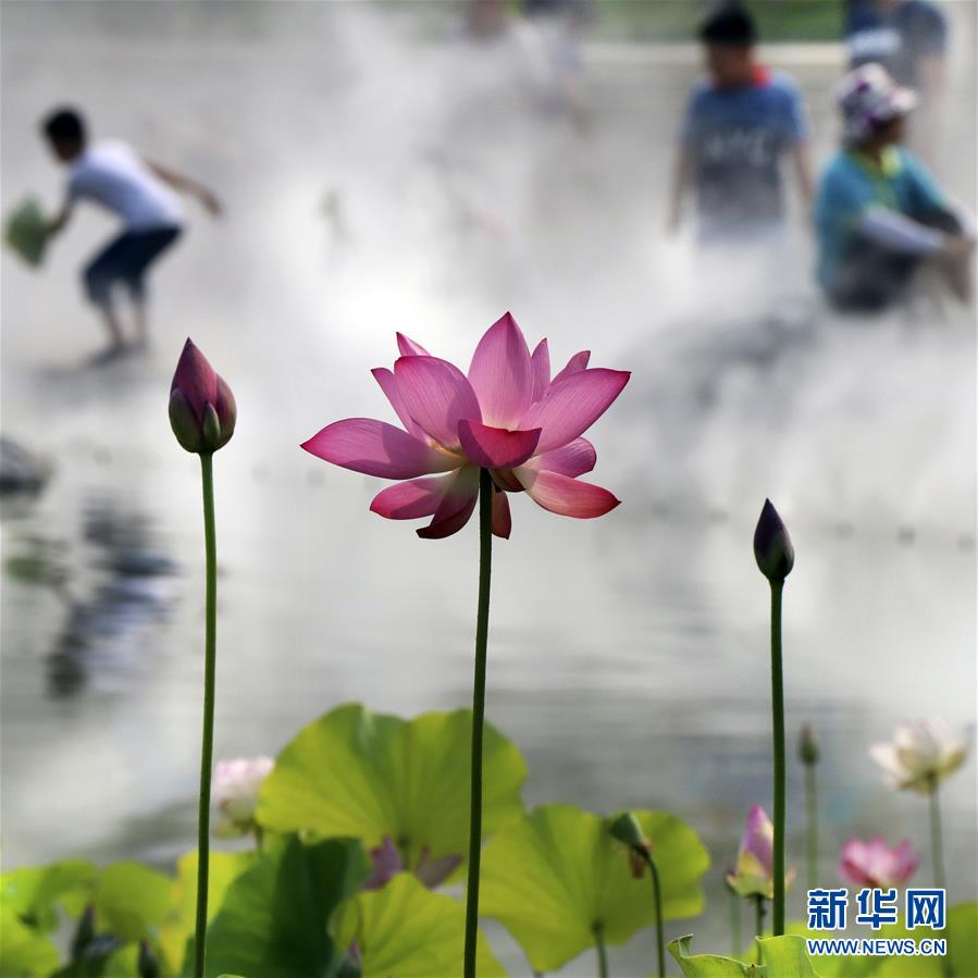 北京：霧裏看花