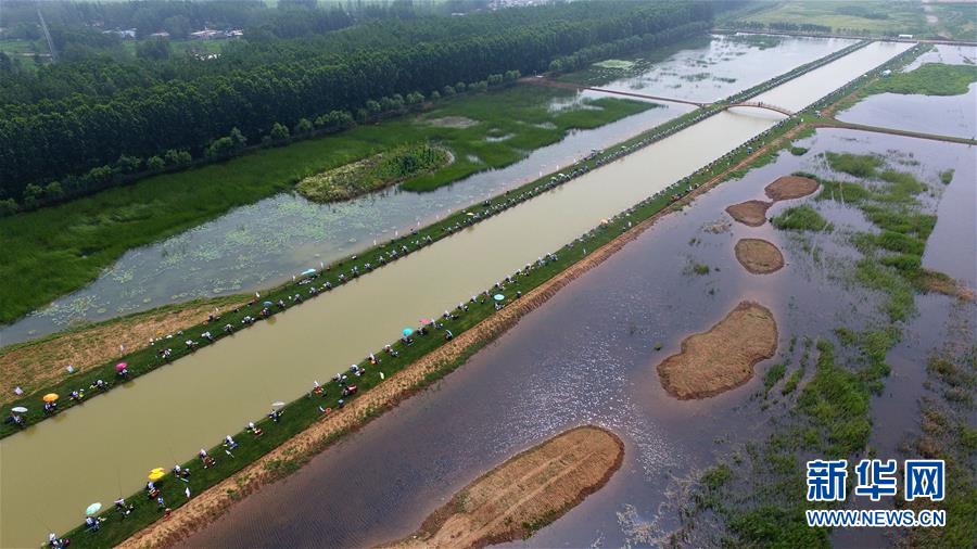 山东枣庄台儿庄:大运河畔赛钓鱼