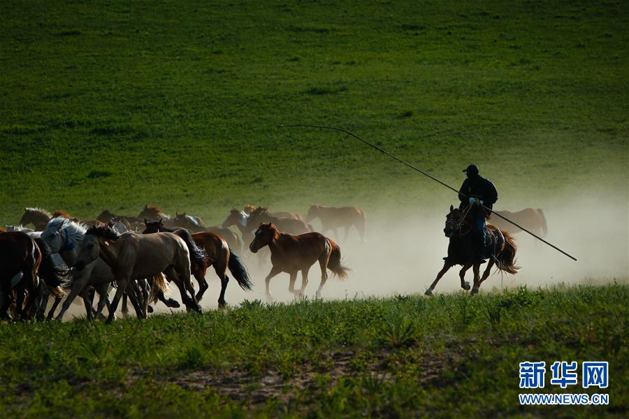 內蒙古：草原奔馬
