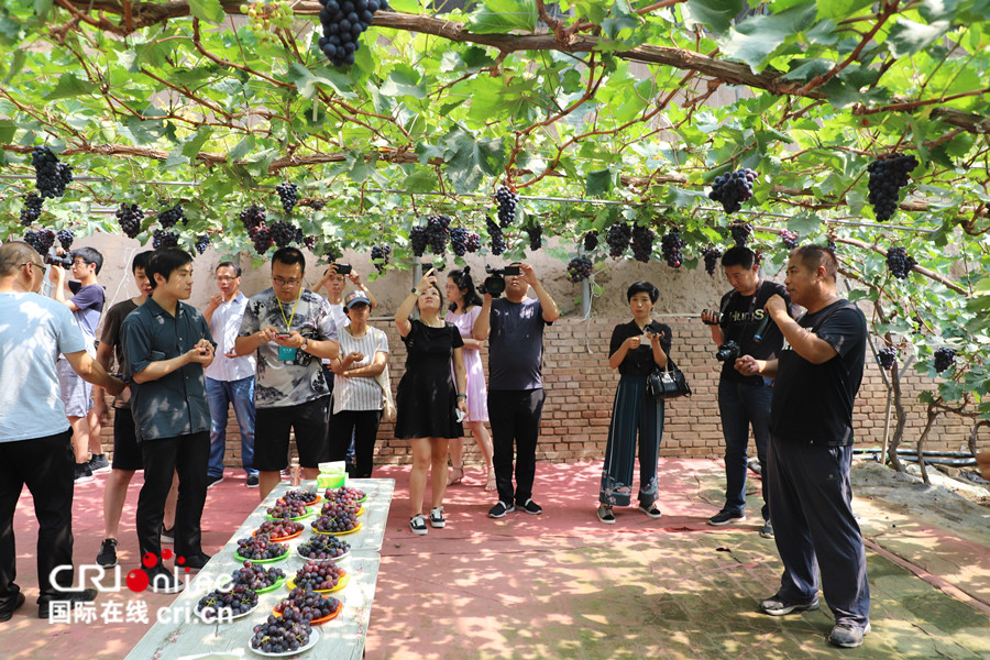 原创【即时新闻】【移动版】【焦点图】【晋中专题 焦点图】【晋中专题 晋中40年】【CRI看山西-列表】【三晋大地-晋中】“2018媒体晋中行”走进巨鑫“草莓硅谷”