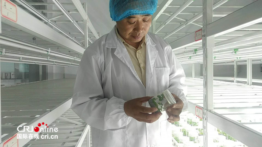 原创【即时新闻】【移动版】【焦点图】【晋中专题 焦点图】【晋中专题 晋中40年】【CRI看山西-列表】【三晋大地-晋中】“2018媒体晋中行”走进巨鑫“草莓硅谷”