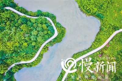 【行遊巴渝摘要】重慶主城最大濕地公園預計年內將對遊人開放