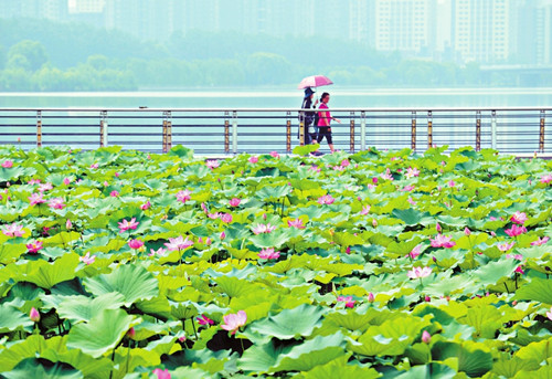 图片默认标题_fororder_aaf051537dfb9b9b04e8463670228b74_副本