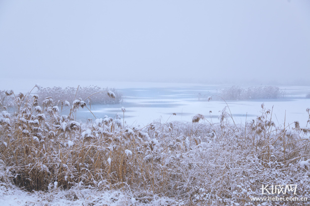 冬天的衡水湖景色图片