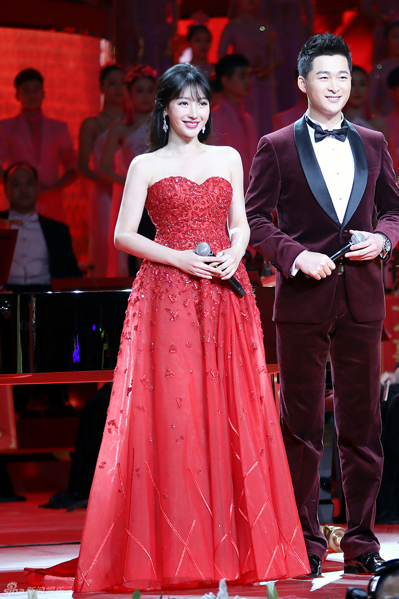 柳岩五套礼服惊艳卫视春晚 优雅端庄大气(组图)