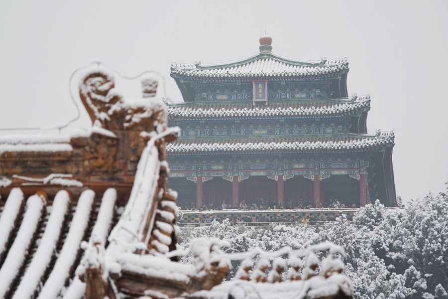 Beijing embraces first snowfall of 2020