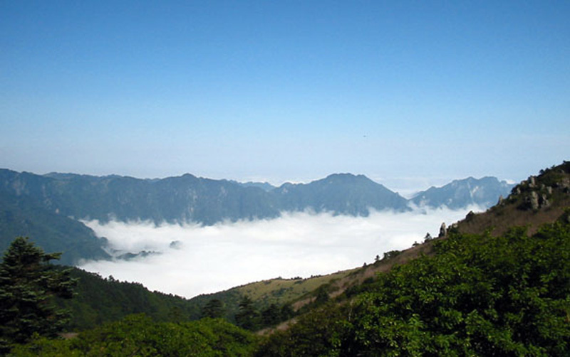 神农架——大九湖湿地公园旅游区