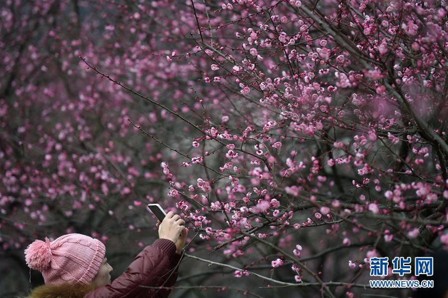 春节假期游西湖 人头攒动