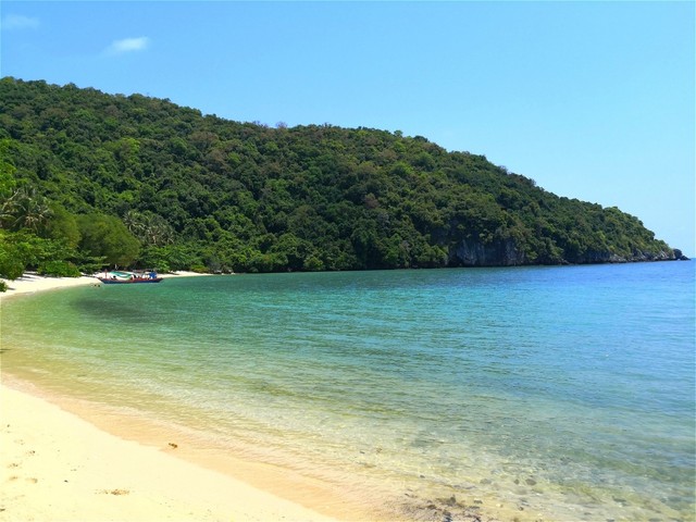 2018春蓬榴莲马拉松首次“触电” 京东成中国官方唯一报名渠道