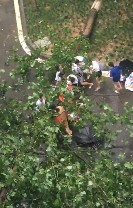 图片默认标题_fororder_123