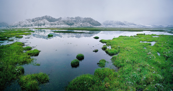 图片默认标题_fororder___172.100.100.3_temp_9500031_1_9500031_1_1_ee1311a9-46f8-4600-8810-dbd811460e45