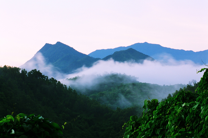 图片默认标题_fororder___172.100.100.3_temp_9500031_1_9500031_1_1_cba49d59-63cd-4dd7-93fc-d1ce96c286d1