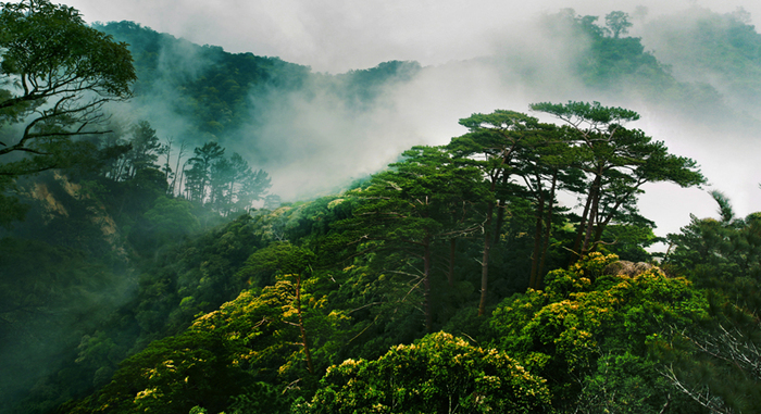 图片默认标题_fororder___172.100.100.3_temp_9500031_1_9500031_1_1_c9e88c01-0d79-4740-abb1-2b8c756931d6