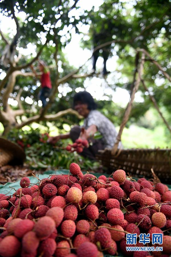 图片默认标题_fororder_129904213_15302767100301n