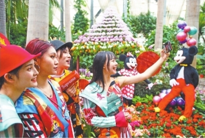武汉植物园热带兰花展主打“动画牌”