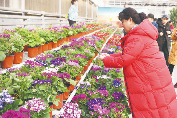 圖片默認標題_fororder_jldw2001190701