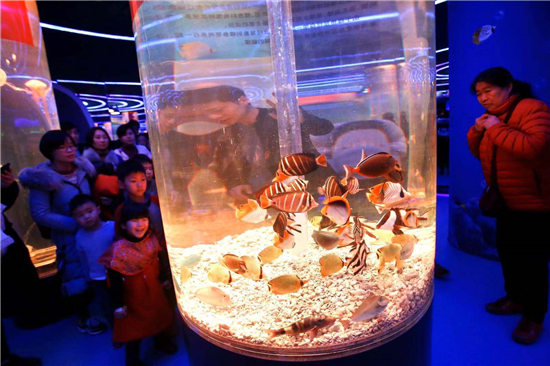 （供稿 企業列表 三吳大地南京 移動版）南京首家水母主題海洋館水母雲-1618開業