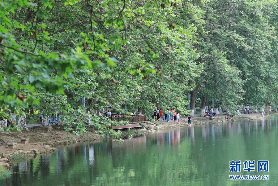 【焦点图片新闻】绿色贵阳：生态湿地醉游人