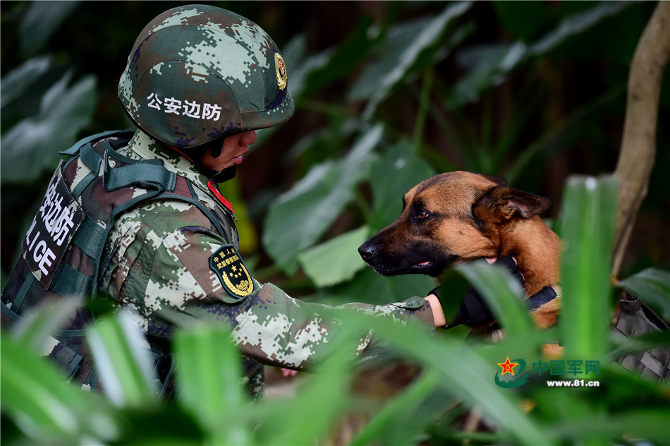 军营汪星人巡逻累了怎么办？兵哥给按摩