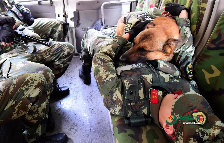 军营汪星人巡逻累了怎么办？兵哥给按摩