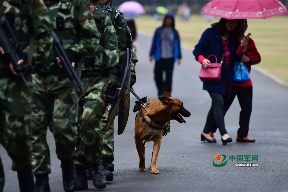 军营汪星人巡逻累了怎么办？兵哥给按摩