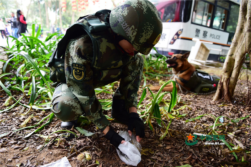 军营汪星人巡逻累了怎么办？兵哥给按摩