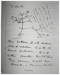 黄承亮，魔法记忆导师，让每个孩子都能掌握一套有趣高效的学习法