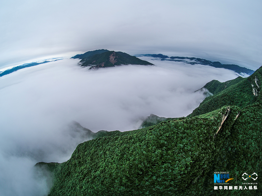 【渝情渝景】航拍瞿塘峽破曉雲海