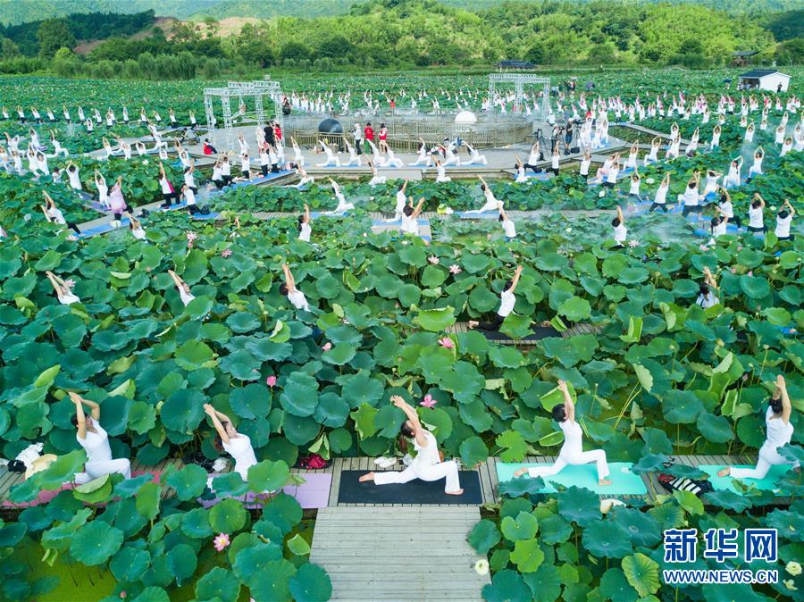 福建建宁：莲田花海瑜伽秀