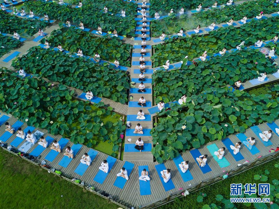 福建建宁：莲田花海瑜伽秀