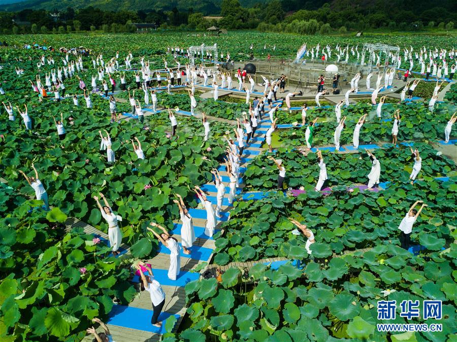 福建建宁：莲田花海瑜伽秀