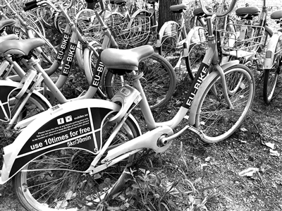 共享單車涼涼後的王慶坨鎮（資訊）（財智推薦）