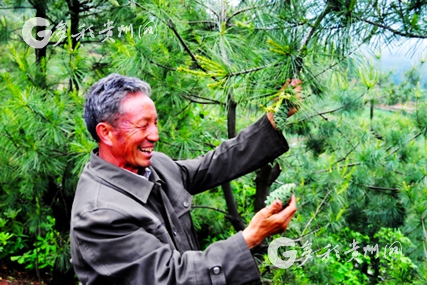 (大生态、市州 黔东南)从这里,走向生态文明新时代 (大生态、市州 黔东南)从这里,走向生态文明新时代