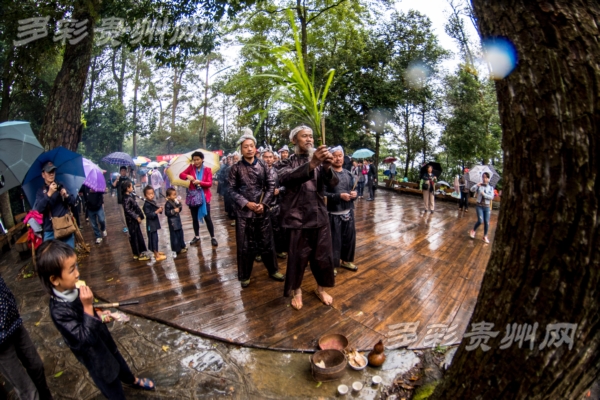 (大生态、市州 黔东南)从这里,走向生态文明新时代 (大生态、市州 黔东南)从这里,走向生态文明新时代