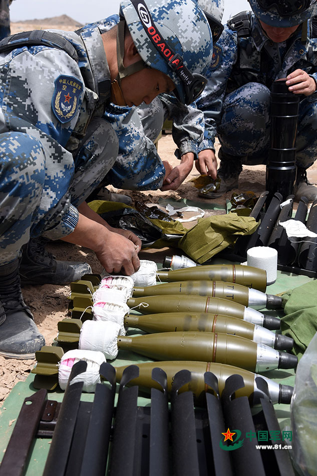 鸡年，围观军营里的那些弹