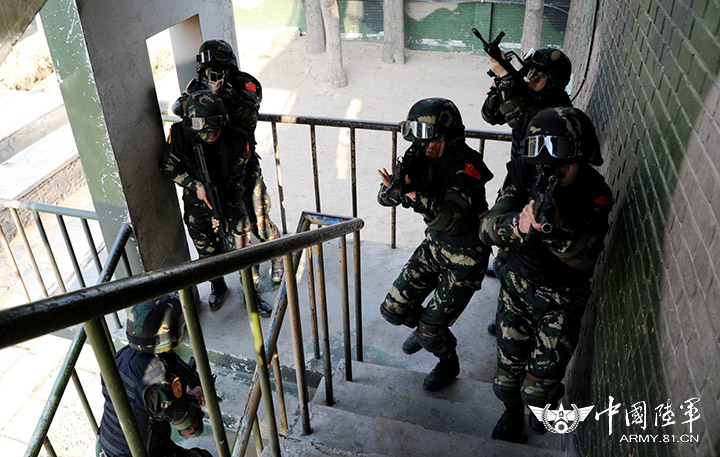 陆军首支女子特战连，她们才是最耀眼的素颜“花木兰”