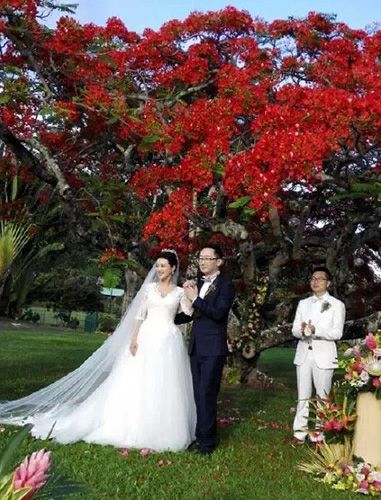 主播胡蝶晒老公陆川儿时萌照 小葫芦与爸爸超相像