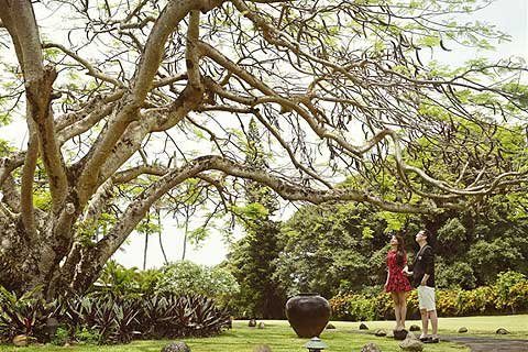 主播胡蝶晒老公陆川儿时萌照 小葫芦与爸爸超相像