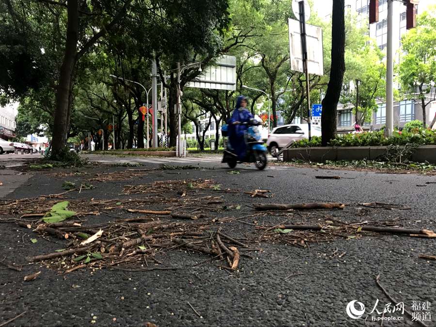 【焦点图】台风“玛莉亚”登陆在即 狂风暴雨开始袭击福建